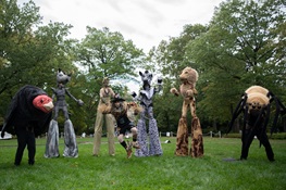 Boo at the Zoo Tradition Returns to Bronx Zoo 